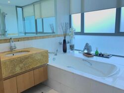 The Light @ Cairnhill (D9), Condominium #352364801